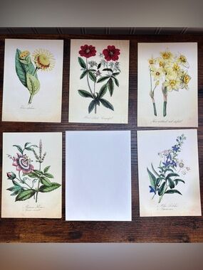 Botanical Floral Art Card Set - Red, Yellow, Green Accents